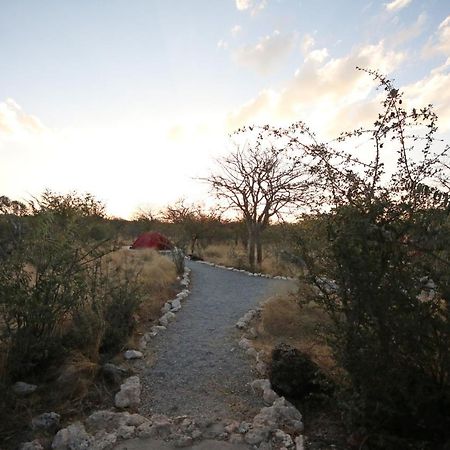 Etosha Village Campsite Okaukuejo Exterior foto