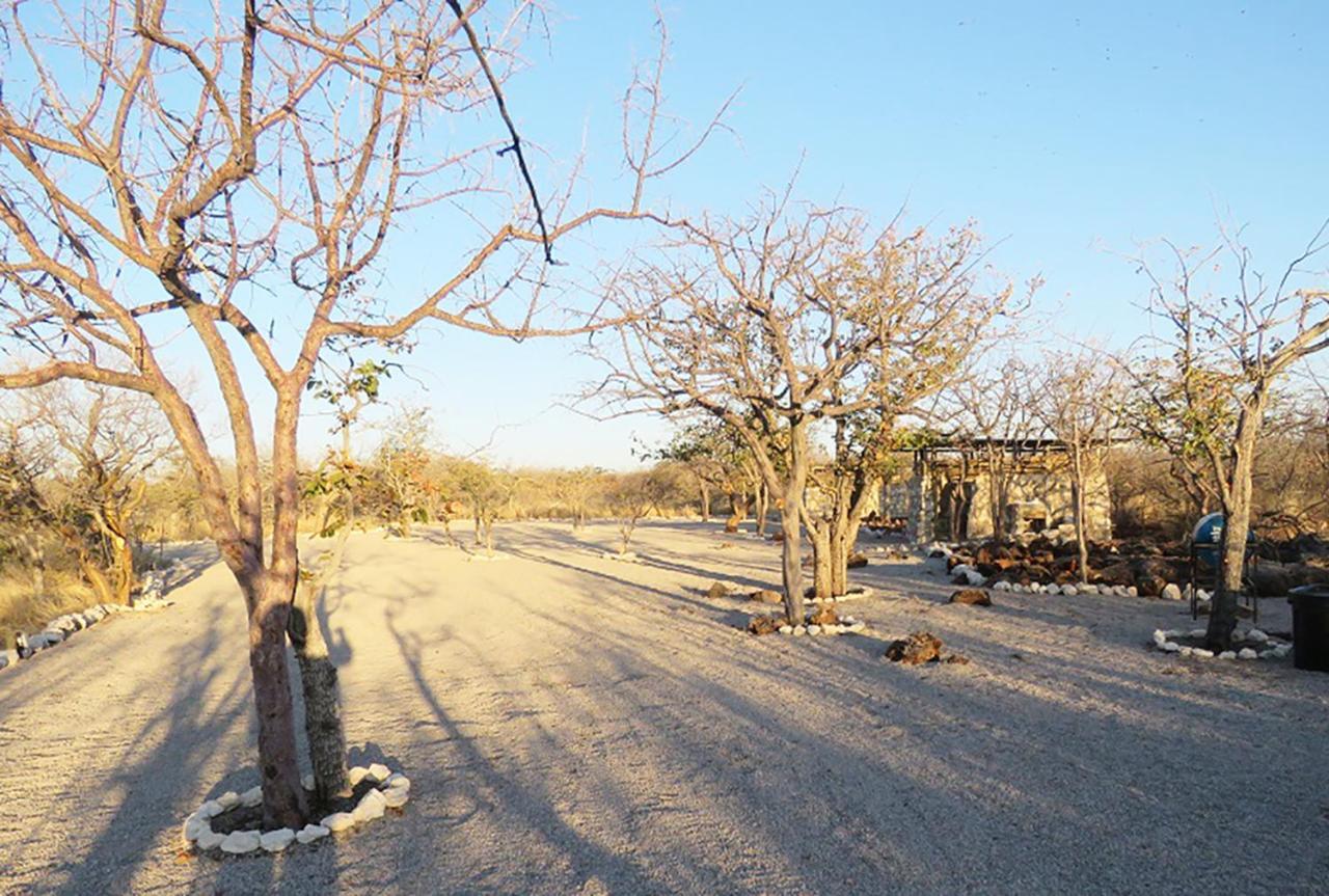 Etosha Village Campsite Okaukuejo Exterior foto