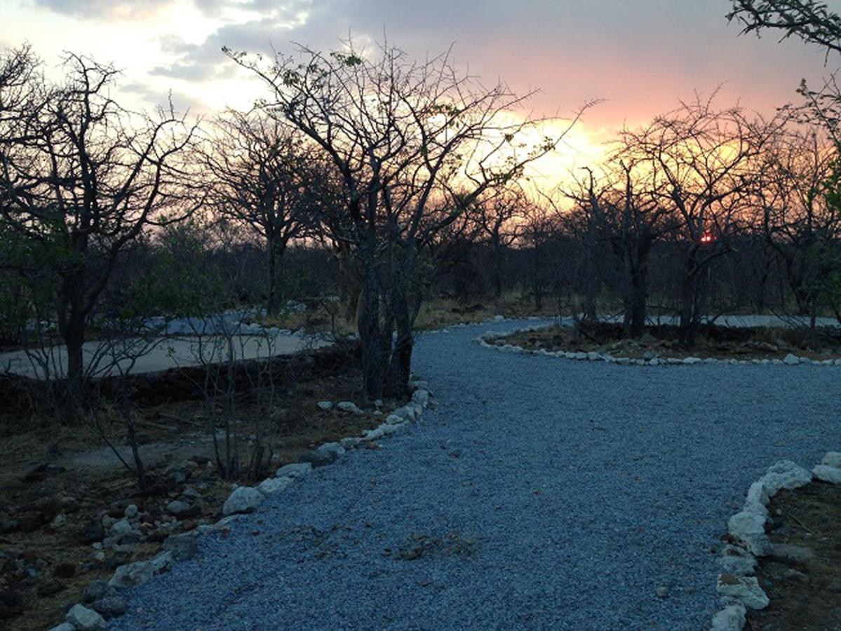 Etosha Village Campsite Okaukuejo Exterior foto