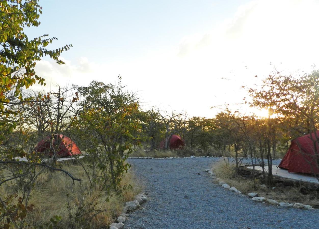 Etosha Village Campsite Okaukuejo Exterior foto