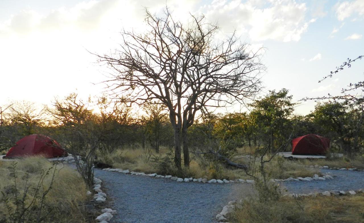 Etosha Village Campsite Okaukuejo Exterior foto